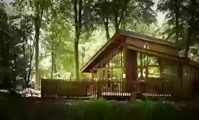 Forest Holidays